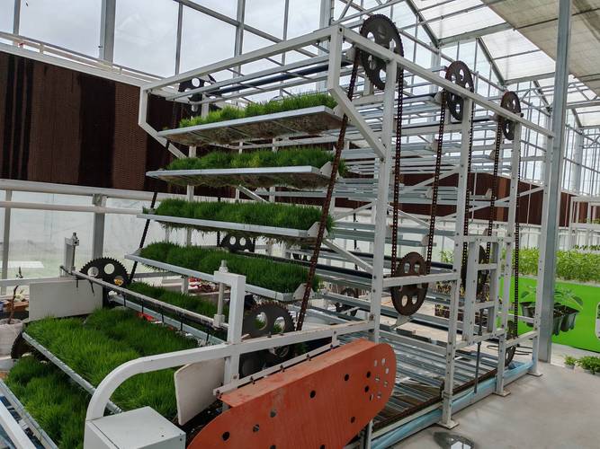 植物工厂设备供应商推荐,哪家品牌费用合理?